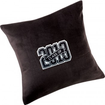 2013 Pillowcase