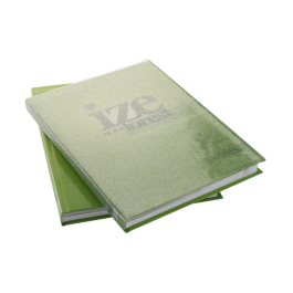 Sparkle Dustjacket
