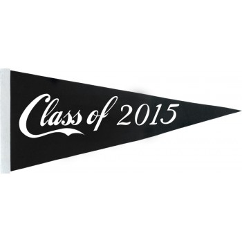 Class of 2015 Pennant